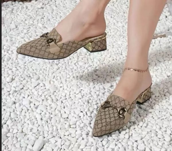 Woman's Pointed Toe, Chunky Heel, Outdoor & Indoor Fashionable Slipper Sandal (S-4781)