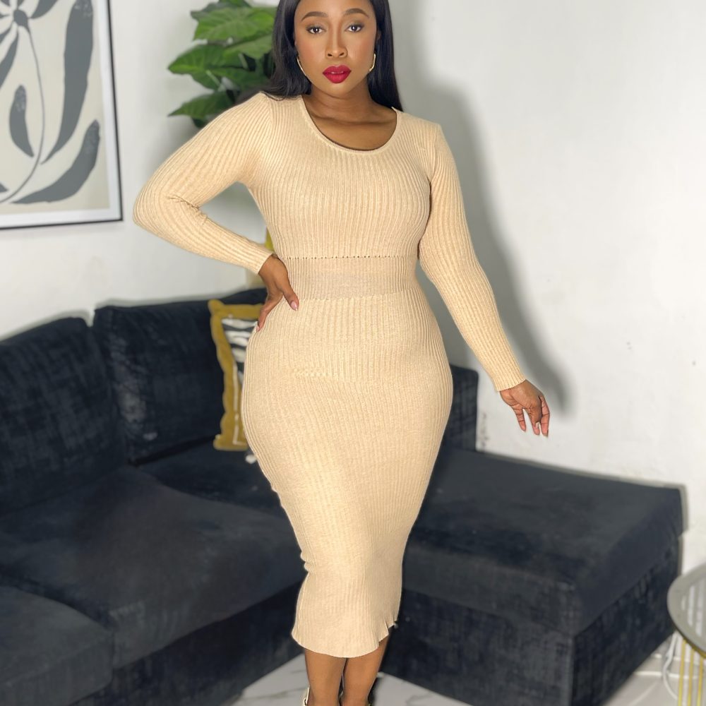 Ladies' Slim-Fit Long Sleeve Dress (LY903)