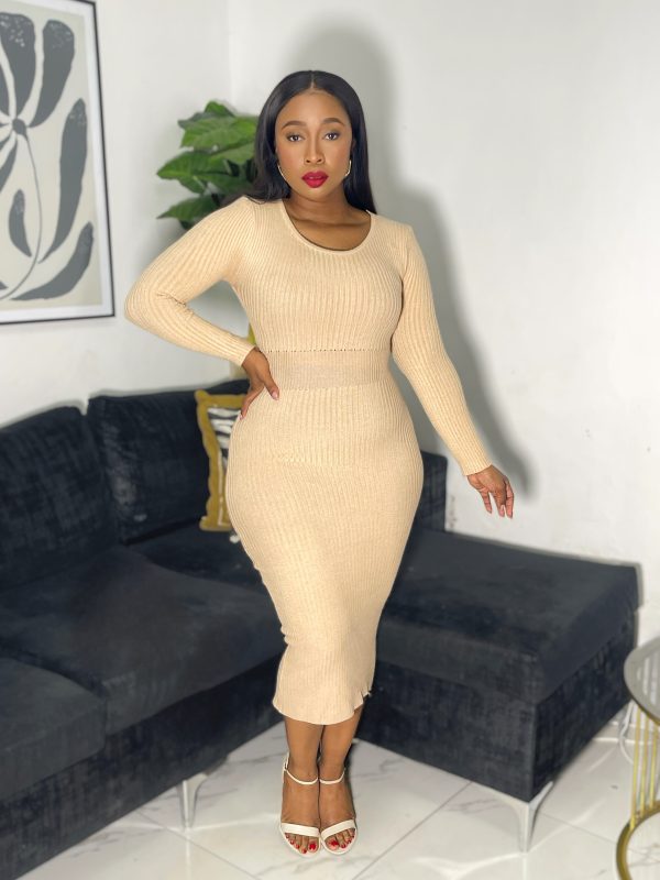 Ladies' Slim-Fit Long Sleeve Dress (LY903)