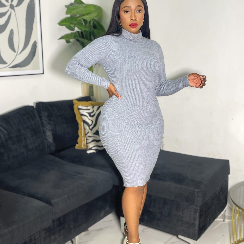 Turtleneck  Ribbed Knit Bodycon Dress (ZM8021)
