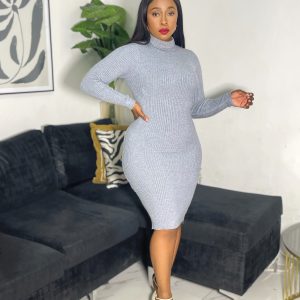 Turtleneck  Ribbed Knit Bodycon Dress (ZM8021)