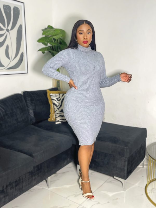 Turtleneck  Ribbed Knit Bodycon Dress (ZM8021)